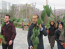 Децл подарил «Зарядью» два дерева авокадо