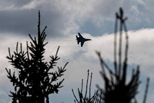 В США рассказали о «едва не потерпевшем неудачу» российском Су-35