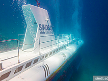 Возросло число погибших в затонувшем батискафе с россиянами в Египте