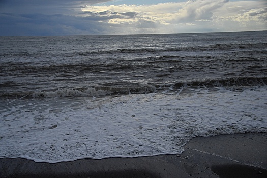 Друг пропавшей в Сочи студентки рассказал, что перед исчезновением она 20 минут была в душе на пляже