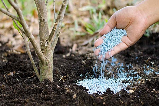 Африканским фермерам срочно предоставят минеральные удобрения