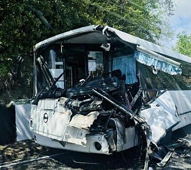 В Сочи на мокрой трассе столкнулись рейсовый автобус и грузовик