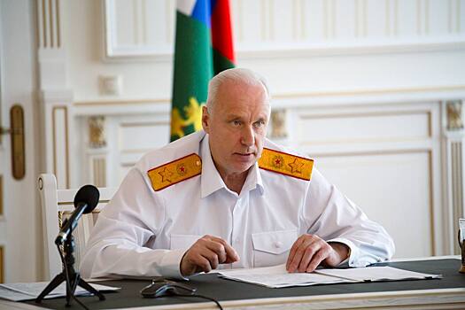 Глава СК Бастрыкин запросил доклад о сбитой в Новосибирске беременной женщины