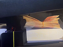 Ирина Волк: Нижегородские полицейские задержали подозреваемого в неправомерном обороте средств платежей на сумму более 113 млн рублей