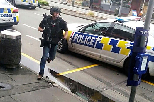 Полиция Новой Зеландии опознала детей, чьи тела нашли в аукционных чемоданах