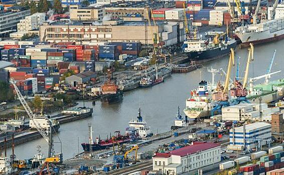 Большой порт Санкт-Петербург лидирует по контейнерообороту среди портов России в январе – мае