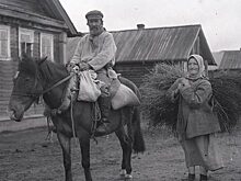 Где прорастает трын-трава