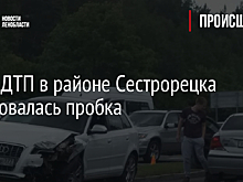 Из-за ДТП в районе Сестрорецка образовалась пробка