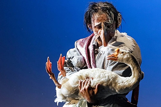 В Петербург привезут пермский мюзикл "Карлик Нос" с участием дрессированного гуся