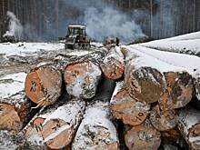 Россиянин незаконно экспортировал лес стоимостью более 80 миллионов рублей
