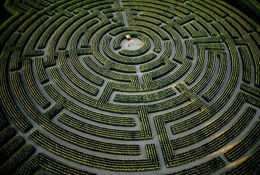 Лабиринт Reignac-sur-Indre Maze во Франции занимает самую большую площадь, хоть и немного короче предыдущего. Его уникальная особенность заключается в том, что рисунок лабиринта меняется: коридоры ежегодно высаживают по разным контурам кукурузой и подсолнечником.