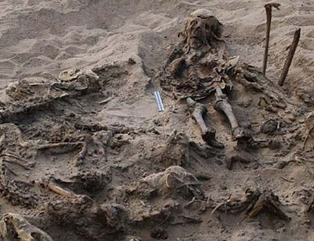 Российские археологи нашли захоронение египетского ребенка с собаками