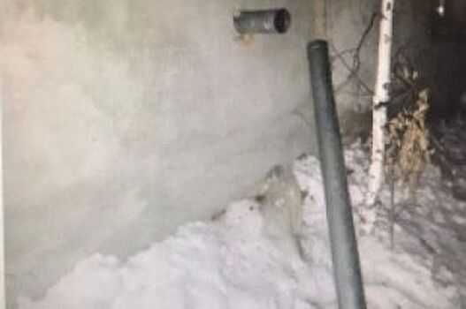 В селе Городище обнаружены тела супругов