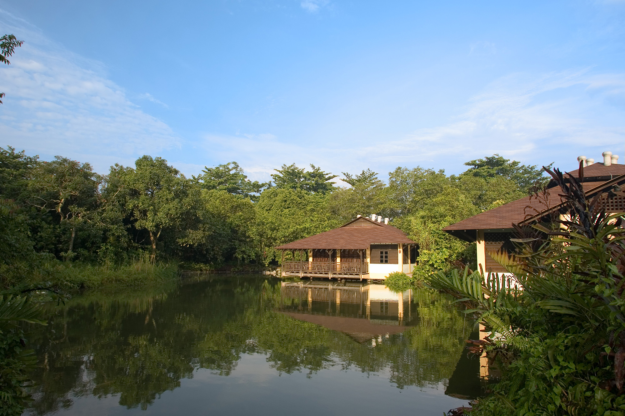 Природный парк Макричи, Сингапур, Азия