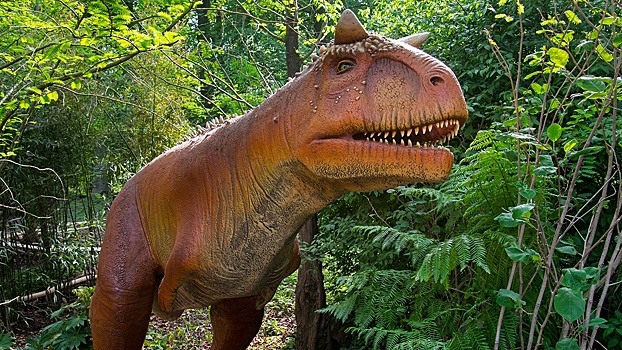 Обнаружен самый большой в Йоркшире след динозавра