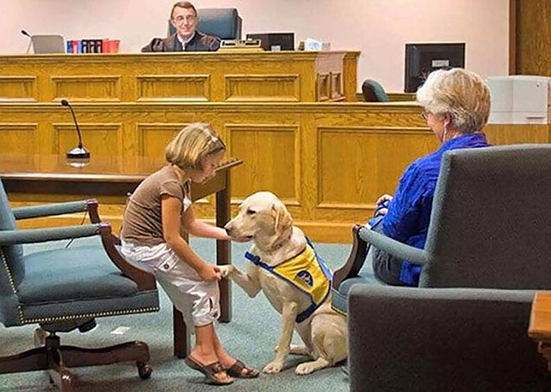Этот хороший мальчик помогает детям давать показания.