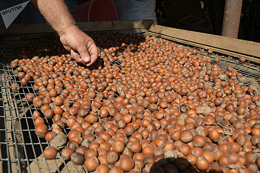Одна "бочка" вместо десяти рук: ноу-хау из Кутола