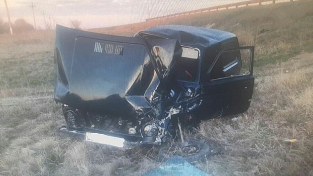 Под Саратовом пострадали две юные пассажирки неопытного водителя «Нивы»