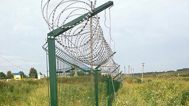 Кабаны подрыли украинскую стену на границе с Россией
