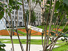 В московском ЖК создадут сад сирени в рамках акции «Дерево добра»