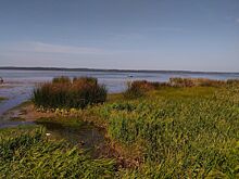 Чем славится древнее костромское озеро