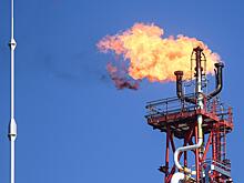 Россию призвали срочно разобраться с «грязной» нефтью