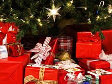 Жителям Удмуртии рассказали, как не прогадать с новогодним подарком