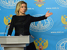 Захарова предложила Артемию Лебедеву поменять «задник» МИД РФ