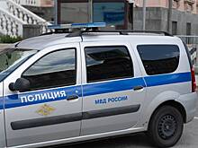Россиянин накануне Дня Победы пошел на прогулку в образе нациста и попал под арест