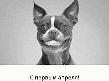 Пертурбация Германа Грефа - Как Сбербанк спасал россиян от карантина и самоизоляции с помощью собаки