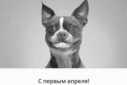 Пертурбация Германа Грефа - Как Сбербанк спасал россиян от карантина и самоизоляции с помощью собаки