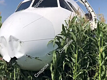Решение сажать А321 на поле было принято после выхода из строя второго двигателя