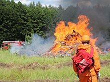Минлесхоз предупреждает о повышенной угрозе возникновения лесных пожаров