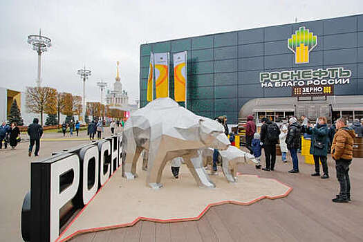 Каждый пятый посетитель выставки "Россия" зашел в павильон "Роснефти" в выходные