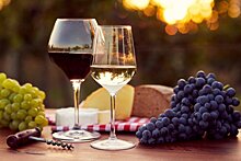 Принят закон о развитии виноделия