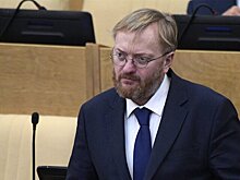 Милонов предложил "выдать швабры" любителям секса в общественных местах