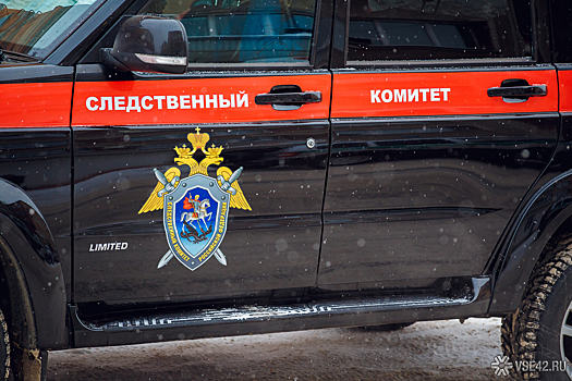 СК начал проверку чиновников после гибели детей при пожаре в Алтайском крае