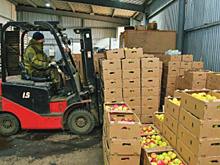 В хозяйстве "Садовод" выращивают экологически чистые ягоды и яблоки, расширяют орошаемые площади