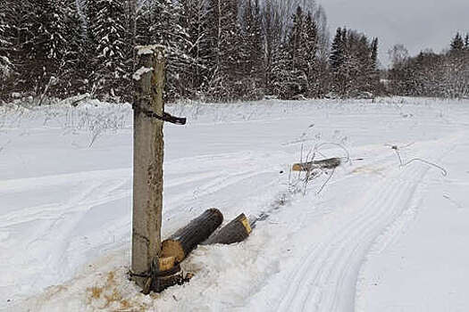 МВД: в Удмуртии пенсионер попытался украсть более километра линий ЛЭП