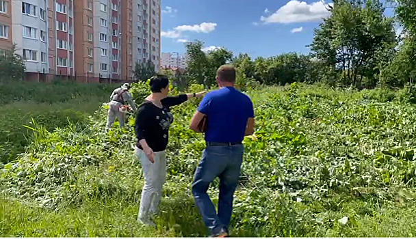 Елена Дятлова приняла участие в уничтожении борщевика в Калининграде