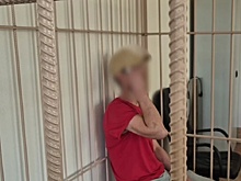 Налетчик с молотком и стамеской напал на ювелирный салон в Новосибирске