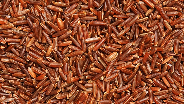 Модный суперфуд или чистая польза: все, что вам нужно знать о буром рисе