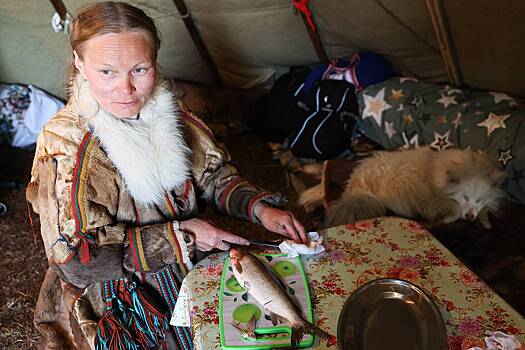 Путешественник поведал о жизни женщин-оленеводов в тундре