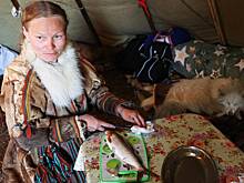 Путешественник поведал о жизни женщин-оленеводов в тундре