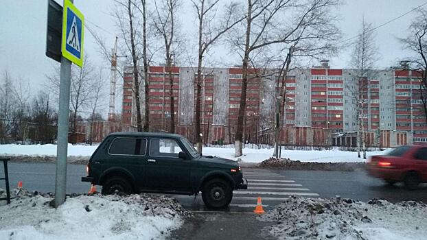 В Вологде молодой человек сбил женщину на зебре и сам довез ее в больницу