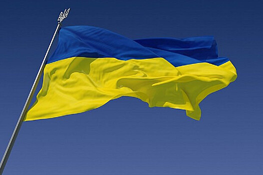 На Украине назвали сроки силового освобождения Донбасса
