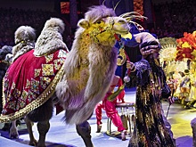 В Рязанском цирке представят шоу Гии Эрадзе «Песчаная Сказка»