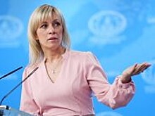 Пушков сомневается в компетентности ОЗХО