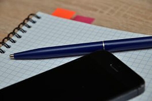 Сотрудники Дома-музея Марины Цветаевой опубликуют видеозапись творческой встречи с поэтом