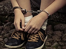 В США 14-летний школьник убил семью после новости об усыновлении